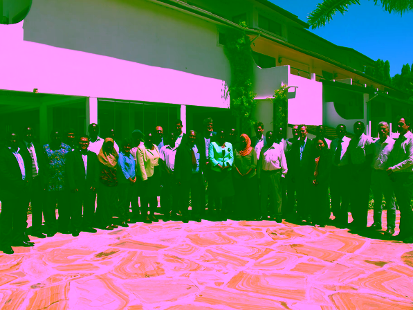 WS tanzania