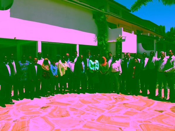WS tanzania